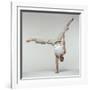 Yoga Pose-Tony McConnell-Framed Photographic Print