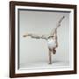 Yoga Pose-Tony McConnell-Framed Photographic Print