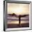 Yoga Pose-Tony McConnell-Framed Photographic Print