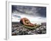 Yoga Position of Child's Pose in Lincoln Park - West Seattle, Washington-Dan Holz-Framed Photographic Print