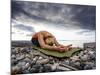 Yoga Position of Child's Pose in Lincoln Park - West Seattle, Washington-Dan Holz-Mounted Photographic Print