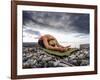 Yoga Position of Child's Pose in Lincoln Park - West Seattle, Washington-Dan Holz-Framed Photographic Print