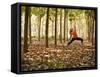 Yoga Practice Among a Rubber Tree Plantation in Chiang Dao, Thaialand-Dan Holz-Framed Stretched Canvas