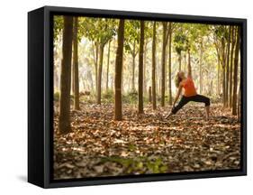 Yoga Practice Among a Rubber Tree Plantation in Chiang Dao, Thaialand-Dan Holz-Framed Stretched Canvas