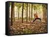 Yoga Practice Among a Rubber Tree Plantation in Chiang Dao, Thaialand-Dan Holz-Framed Stretched Canvas