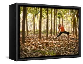 Yoga Practice Among a Rubber Tree Plantation in Chiang Dao, Thaialand-Dan Holz-Framed Stretched Canvas