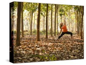 Yoga Practice Among a Rubber Tree Plantation in Chiang Dao, Thaialand-Dan Holz-Stretched Canvas