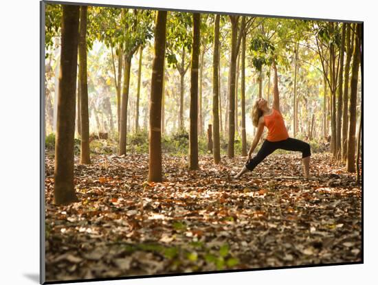 Yoga Practice Among a Rubber Tree Plantation in Chiang Dao, Thaialand-Dan Holz-Mounted Photographic Print