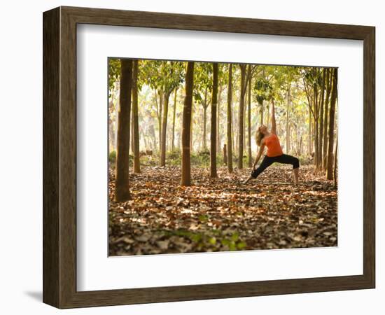 Yoga Practice Among a Rubber Tree Plantation in Chiang Dao, Thaialand-Dan Holz-Framed Photographic Print