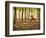 Yoga Practice Among a Rubber Tree Plantation in Chiang Dao, Thaialand-Dan Holz-Framed Photographic Print