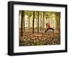 Yoga Practice Among a Rubber Tree Plantation in Chiang Dao, Thaialand-Dan Holz-Framed Photographic Print