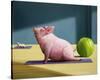 Yoga With Friends-Lucia Heffernan-Stretched Canvas