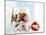 Yoghurt with Muesli and Strawberries-Dieter Heinemann-Mounted Photographic Print