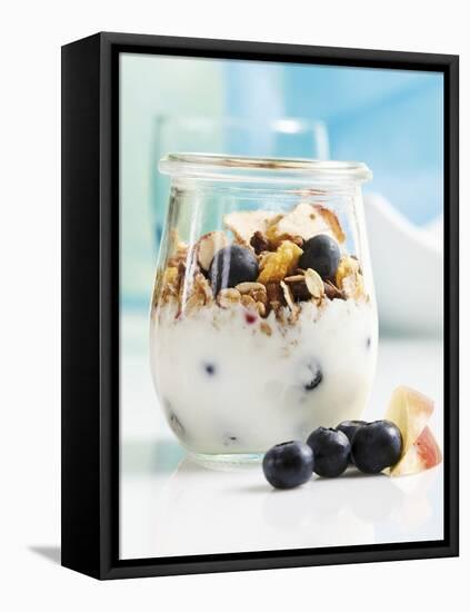 Yoghurt with Muesli, Blueberries, Apple and Dried Fruit-Dieter Heinemann-Framed Stretched Canvas