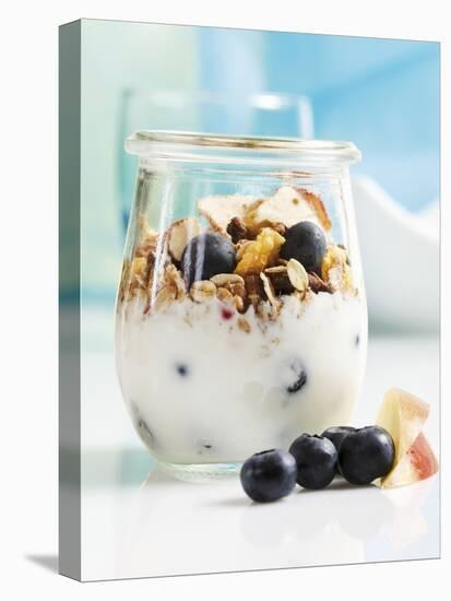 Yoghurt with Muesli, Blueberries, Apple and Dried Fruit-Dieter Heinemann-Stretched Canvas