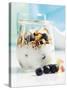 Yoghurt with Muesli, Blueberries, Apple and Dried Fruit-Dieter Heinemann-Stretched Canvas