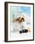 Yoghurt with Muesli, Blueberries, Apple and Dried Fruit-Dieter Heinemann-Framed Photographic Print