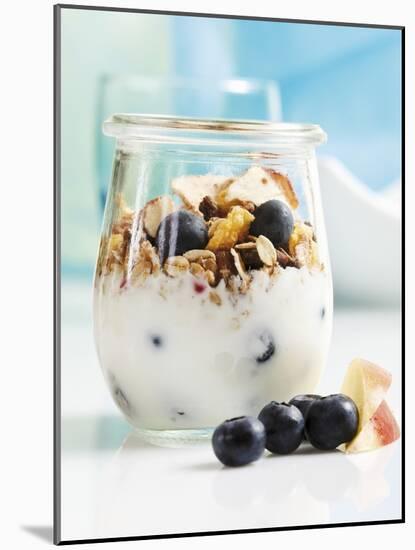 Yoghurt with Muesli, Blueberries, Apple and Dried Fruit-Dieter Heinemann-Mounted Photographic Print