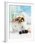 Yoghurt with Muesli, Blueberries, Apple and Dried Fruit-Dieter Heinemann-Framed Photographic Print