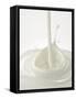 Yogurt Being Poured-Kröger & Gross-Framed Stretched Canvas
