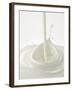 Yogurt Being Poured-Kröger & Gross-Framed Photographic Print