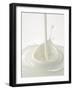 Yogurt Being Poured-Kröger & Gross-Framed Photographic Print