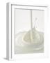 Yogurt Being Poured-Kröger & Gross-Framed Photographic Print