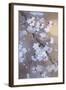 Yoi 12974 Crop 1-Haruyo Morita-Framed Art Print