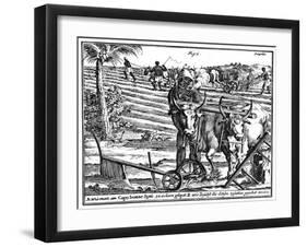 Yoking Oxen and Ploughing Fields, South Africa, 18th Century-null-Framed Giclee Print