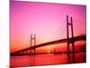 Yokohama Bay Bridge-null-Mounted Photographic Print