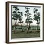 Yokohama (Japan), the Seaside, 1900-1905-Leon, Levy et Fils-Framed Photographic Print