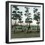 Yokohama (Japan), the Seaside, 1900-1905-Leon, Levy et Fils-Framed Photographic Print