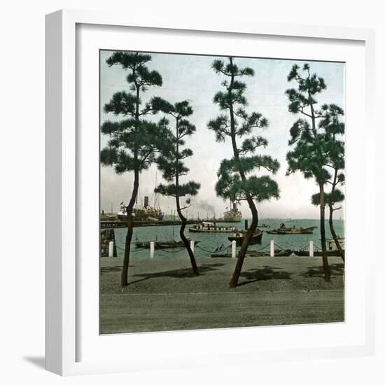 Yokohama (Japan), the Seaside, 1900-1905-Leon, Levy et Fils-Framed Photographic Print