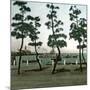 Yokohama (Japan), the Seaside, 1900-1905-Leon, Levy et Fils-Mounted Photographic Print