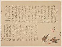 Sparrows and Plum Flowers, 1823-Yokoyama Kazan-Laminated Giclee Print