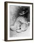 Yokuts Baskets-Edward S^ Curtis-Framed Giclee Print