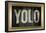 YOLO Bling Faux Frame Poster-null-Framed Poster