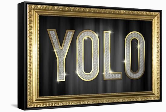 YOLO Bling Faux Frame Poster-null-Framed Stretched Canvas