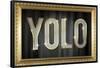 YOLO Bling Faux Frame Poster-null-Framed Poster