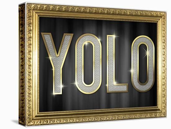 YOLO Bling Faux Frame-null-Stretched Canvas