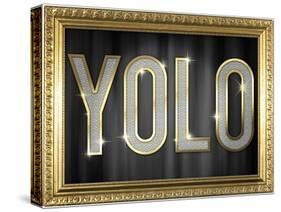 YOLO Bling Faux Frame-null-Stretched Canvas