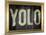 YOLO Bling Faux Frame-null-Mounted Poster