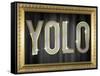 YOLO Bling Faux Frame-null-Framed Stretched Canvas