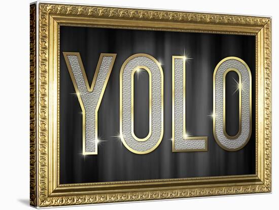 YOLO Bling Faux Frame-null-Stretched Canvas