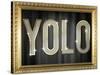 YOLO Bling Faux Frame-null-Stretched Canvas