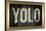 YOLO Bling Faux Frame-null-Framed Art Print