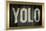 YOLO Bling Faux Frame-null-Framed Art Print