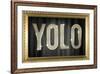 YOLO Bling Faux Frame-null-Framed Art Print
