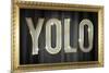 YOLO Bling Faux Frame-null-Mounted Art Print