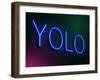 Yolo Concept.-sam2172-Framed Art Print